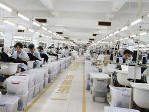 內(nèi)衣廠家為何信賴波而朵 品質(zhì)、創(chuàng)新與服務(wù)的三重保障