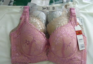 批發(fā)優(yōu)質(zhì)品牌文胸，舒適柔軟，廠家直供，價(jià)格實(shí)惠，圖片實(shí)拍